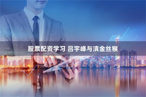 股票配资学习 吕宇峰与滇金丝猴