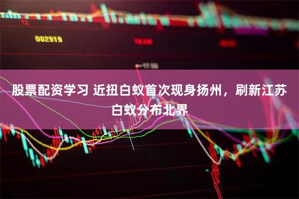 股票配资学习 近扭白蚁首次现身扬州，刷新江苏白蚁分布北界