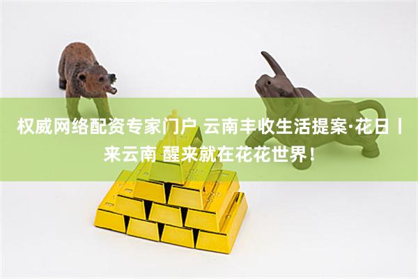 权威网络配资专家门户 云南丰收生活提案·花日丨来云南 醒来就在花花世界！