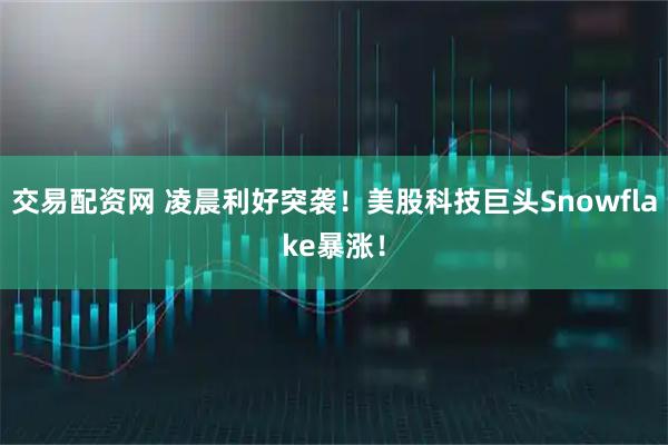 交易配资网 凌晨利好突袭！美股科技巨头Snowflake暴涨！